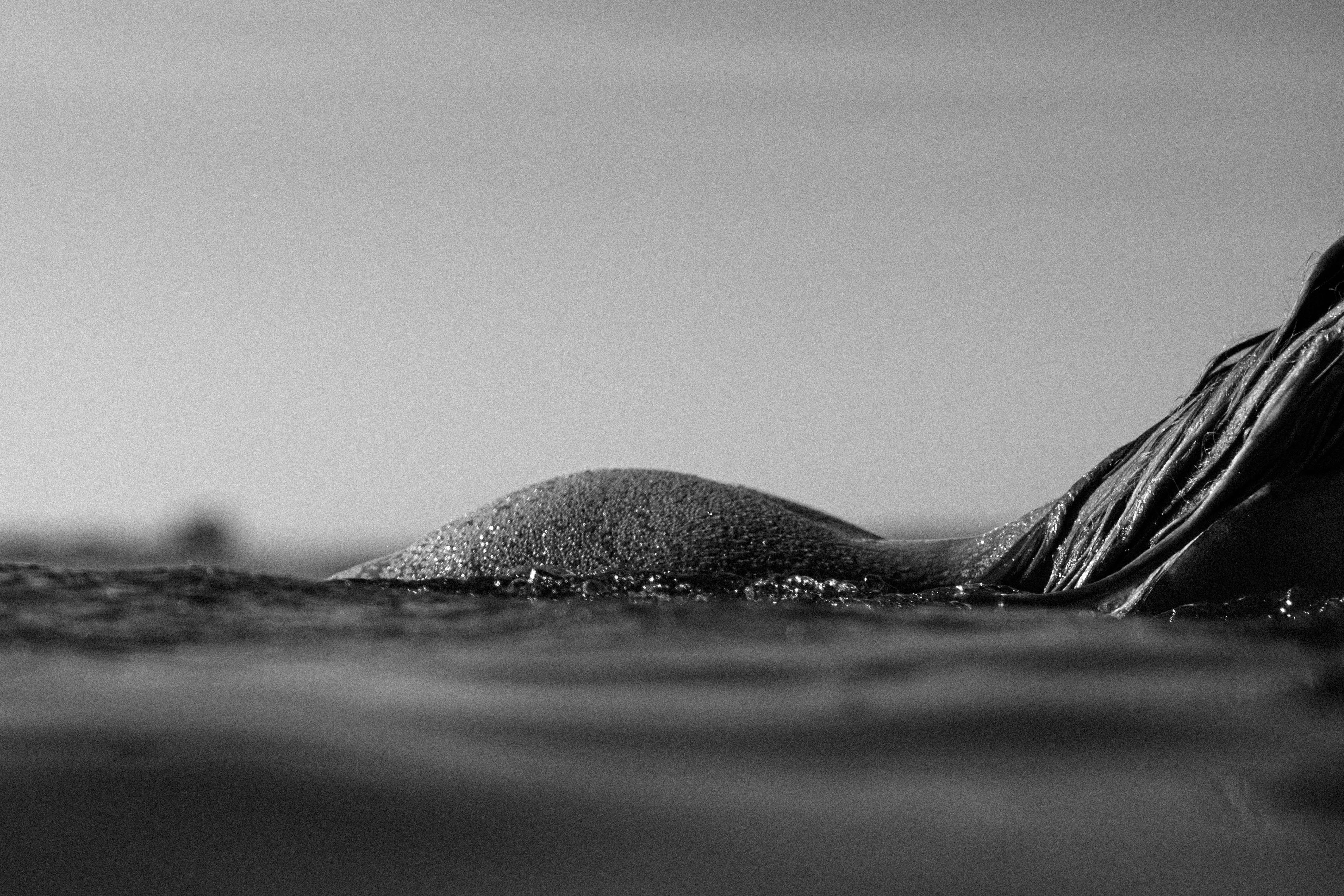 black and white photo of female surfer's back in the water