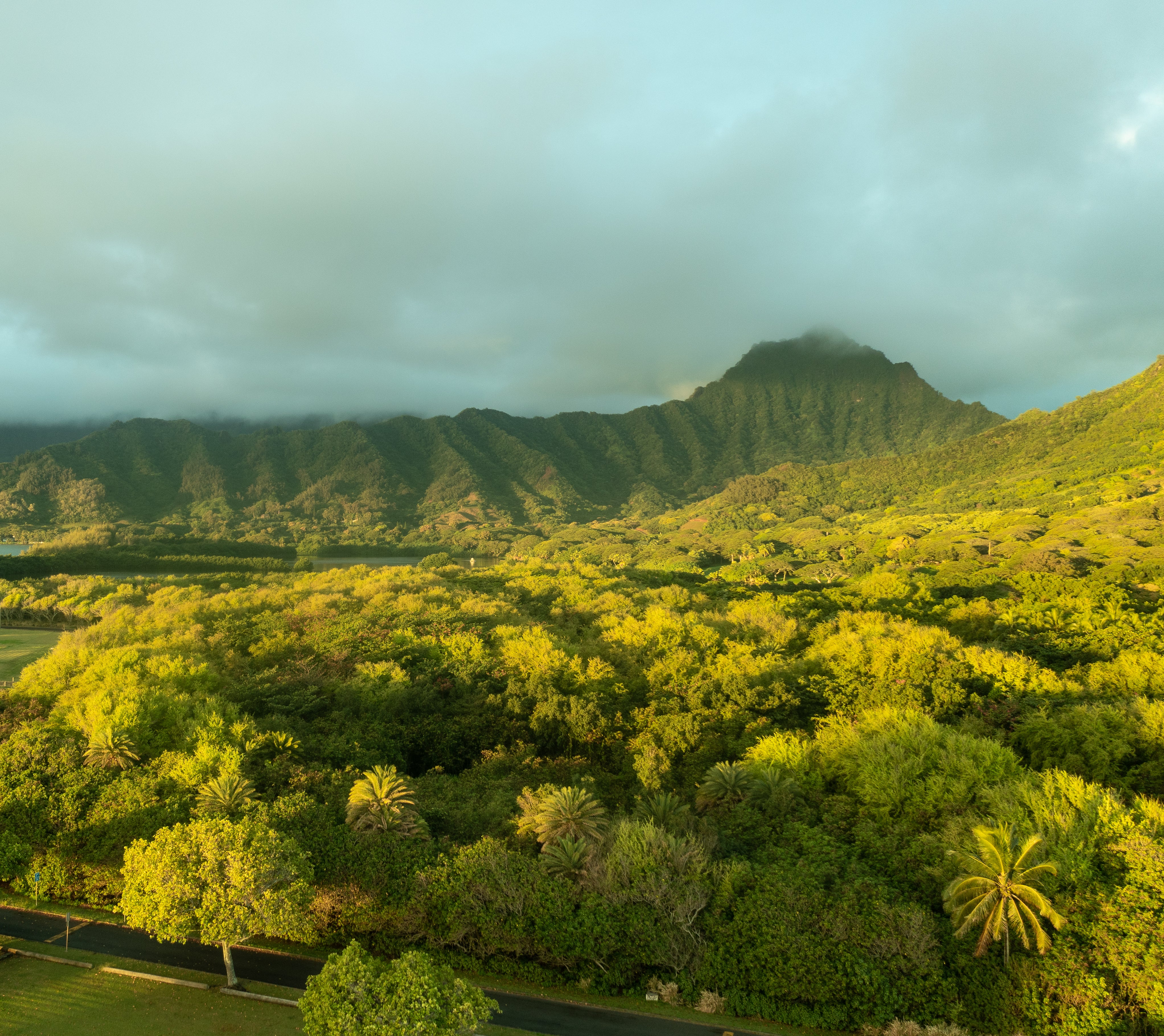 Hawaiian Jungle and Mountain Range