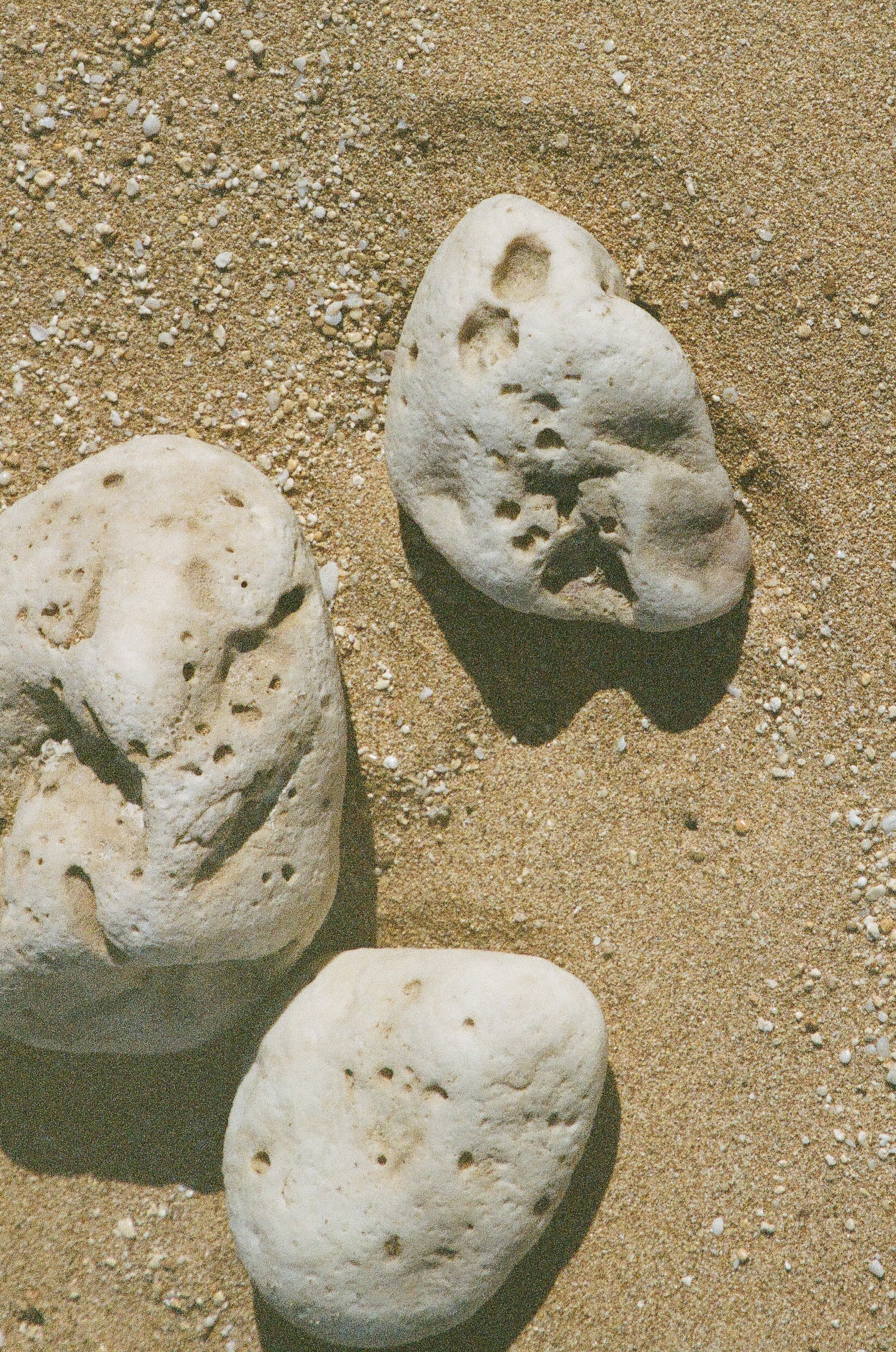 rocks in sand